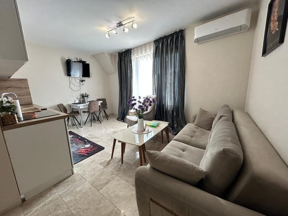 TV and multimedia, Living room, air conditioner