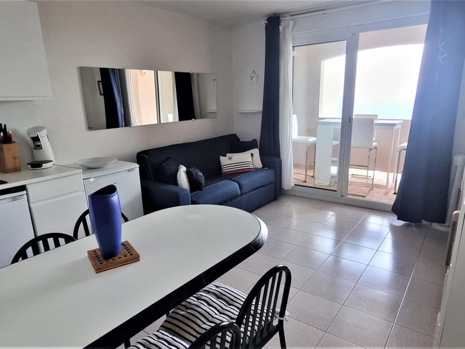 Appartement T2 à Banyuls, terrasse, parking, WIFI - FR-1-309-373 Apartment in Alt Empordà