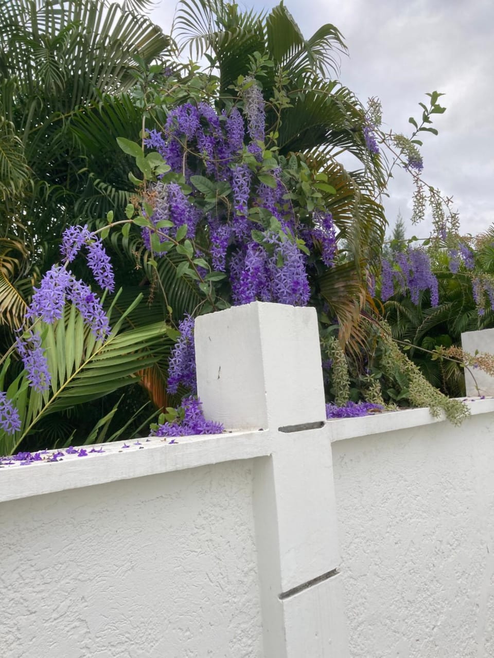 LES NUITS GALANTES MANDEVILLA MAISON PRIVÉE AVEC JACUZZI House in Grande-Terre, Guadeloupe