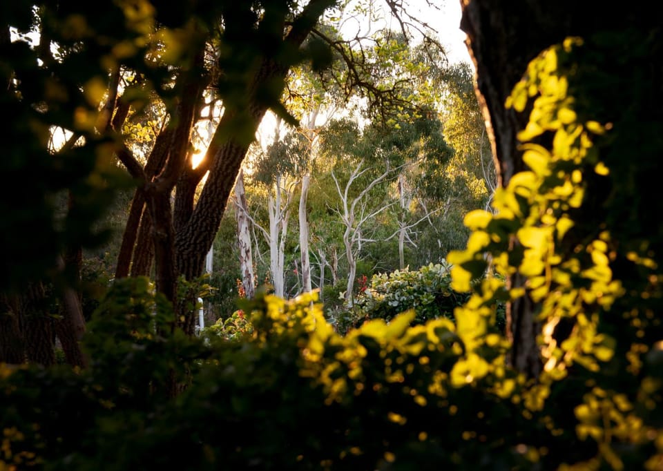 Delphi, Adelaide Hills Garden BnB House in Adelaide