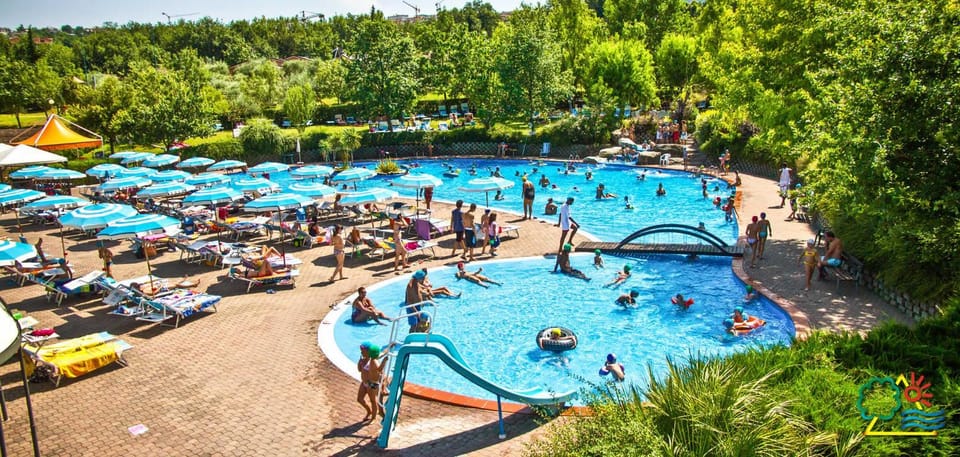 Natural landscape, Swimming pool, group of guests, sunbed