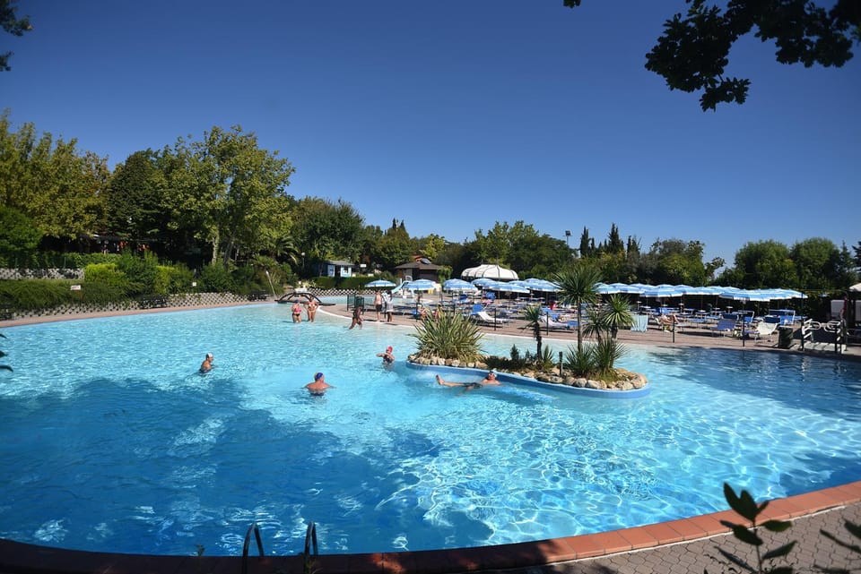 Summer, Pool view, Swimming pool