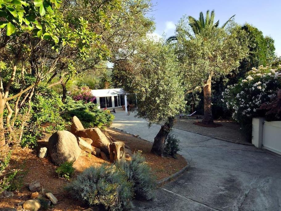 Natural landscape, Garden, Garden view
