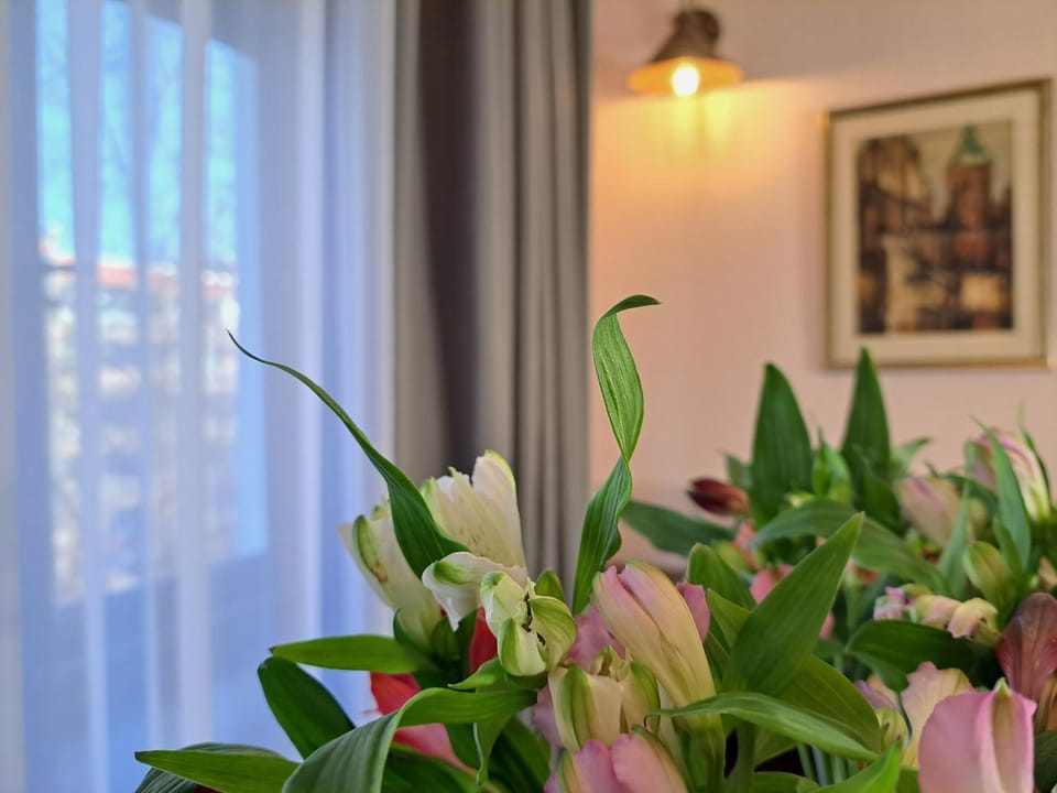 Brother Louie Apartment in Riga