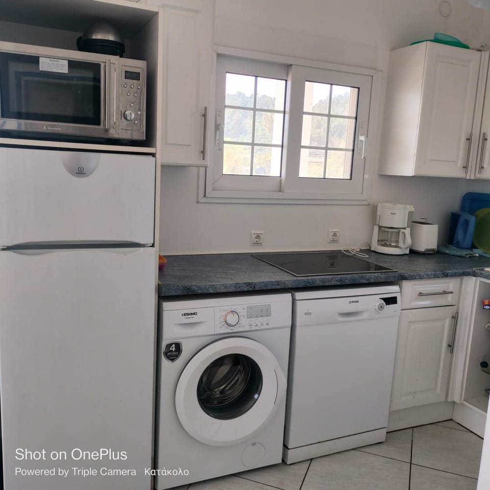 Coffee/tea facilities, Kitchen or kitchenette, dishwasher, minibar, toaster, washing machine, dryer