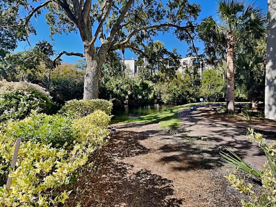 Xanadu A1 Apartment in South Forest Beach