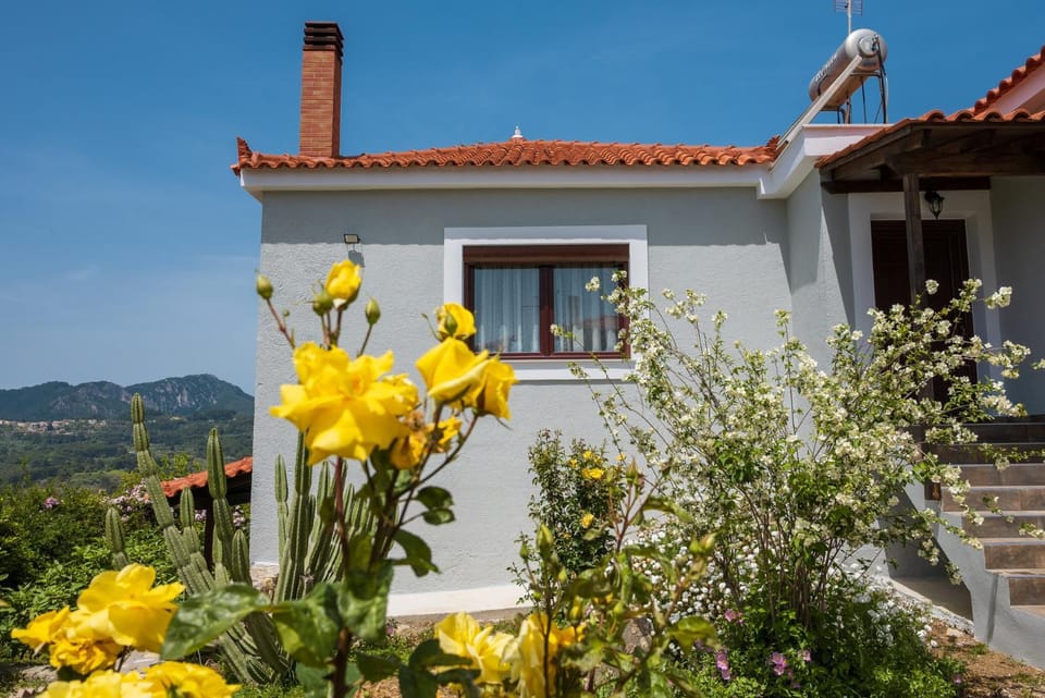 Spring, Natural landscape, Garden