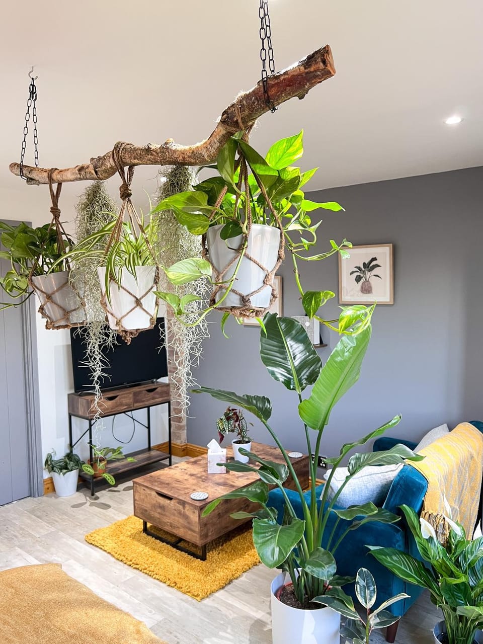Aplanty Studio in the Orchard Apartment in England