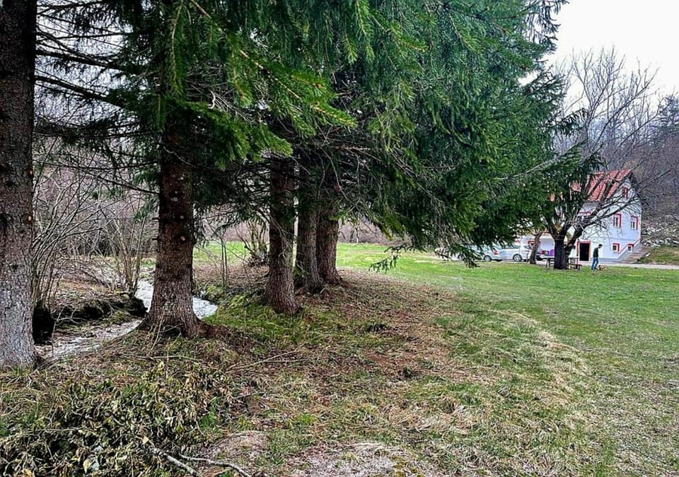 Spring, Day, Natural landscape, Garden, Garden view