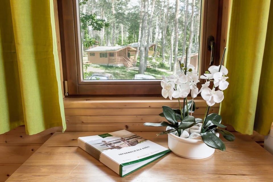 View (from property/room), Garden view