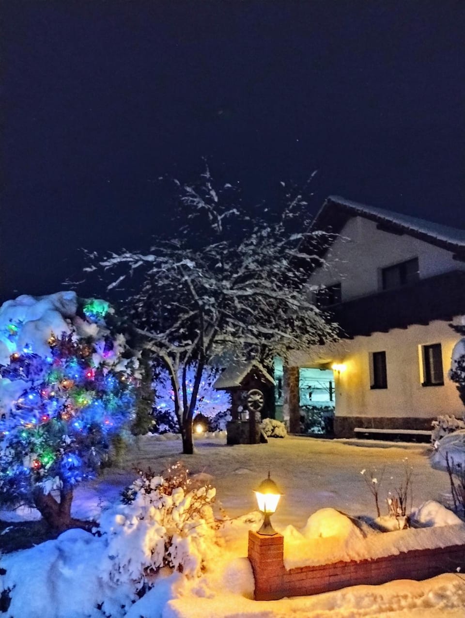 Property building, Winter