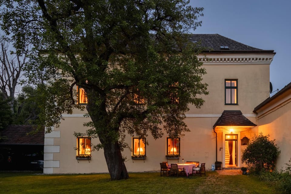Property building, Night, Garden, Garden view