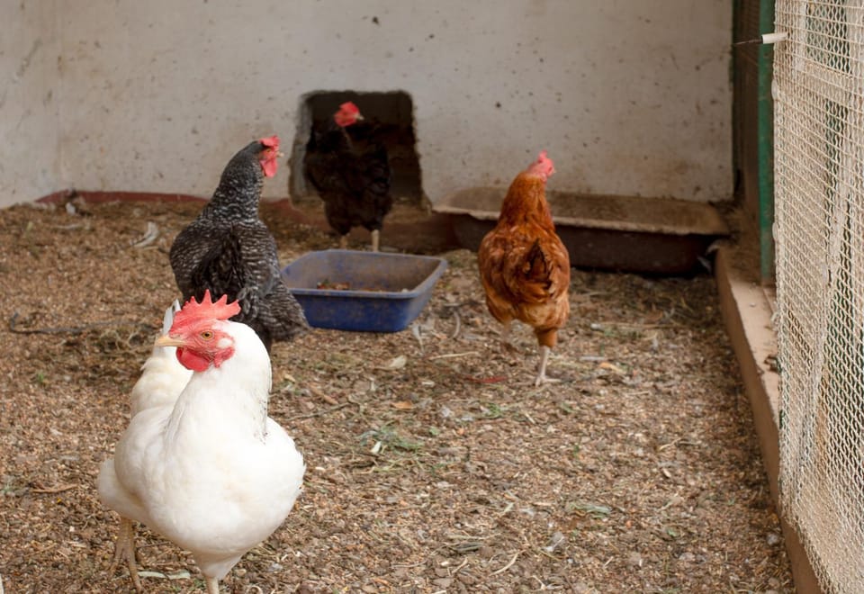 Location La Londe Apartment in La Londe-les-Maures