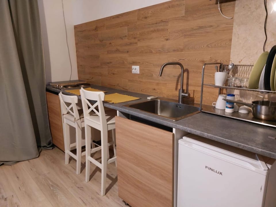 Piata Victoriei Studio SANAD Apartment in Bucharest