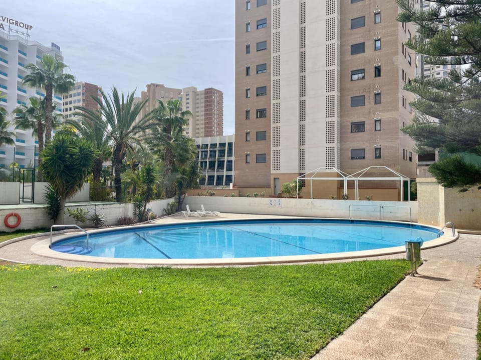 Day, Garden, Garden view, Swimming pool