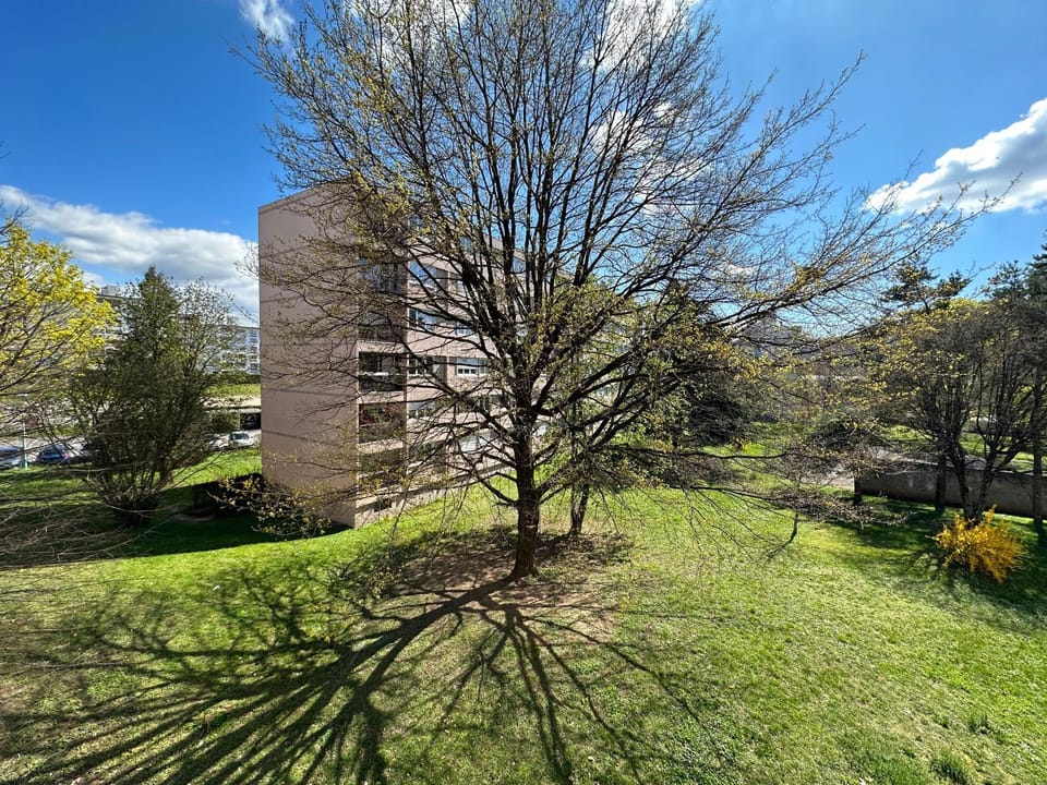 Property building, Natural landscape, Garden view