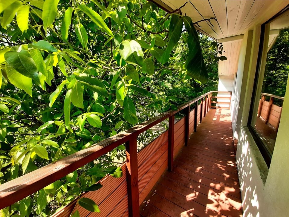 Day, Summer, Balcony/Terrace, Parking