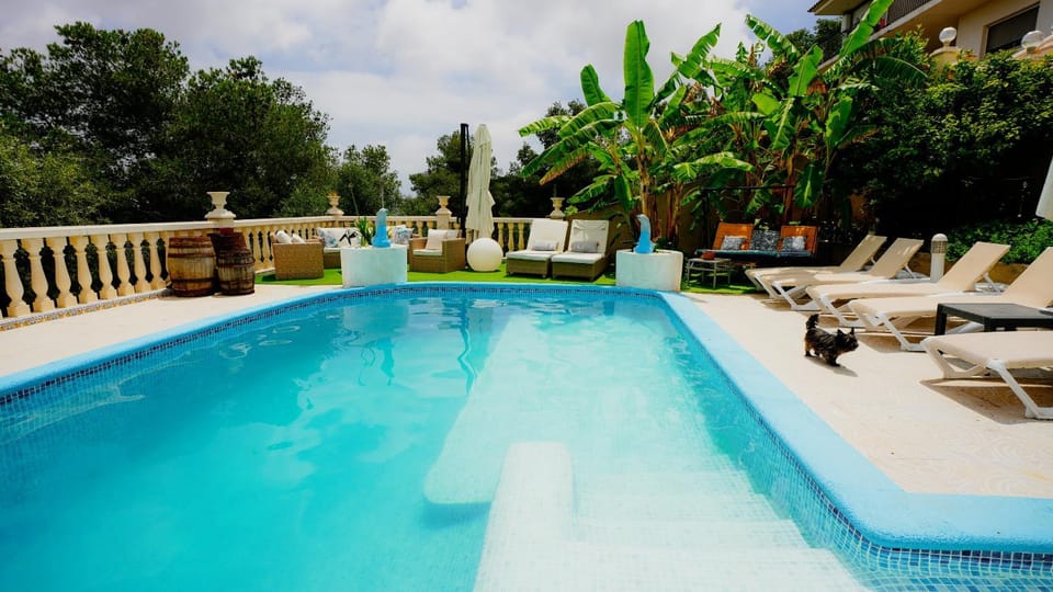 Patio, Day, Garden, Garden view, Pool view, Swimming pool, sunbed