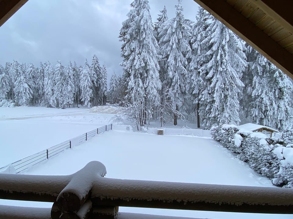 Natural landscape, Winter