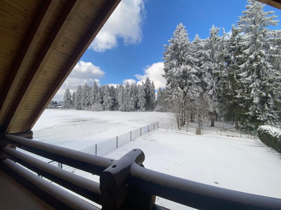 Day, Natural landscape, Winter