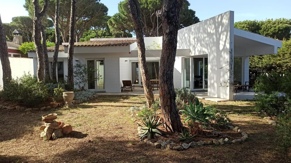 Diseño y luz entre los pinos House in Chiclana de la Frontera
