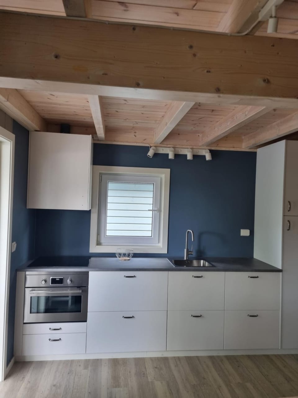 Kitchen or kitchenette, minibar, pet friendly, stove