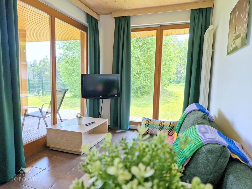 TV and multimedia, Living room, Seating area, Garden view