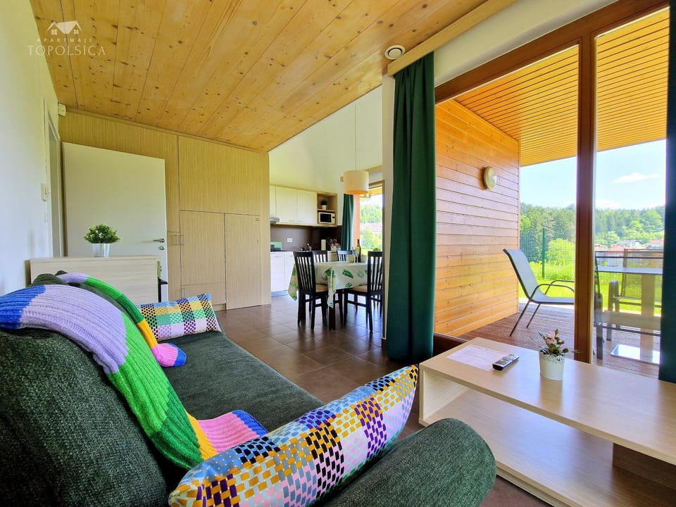 Patio, Balcony/Terrace, Living room, Seating area
