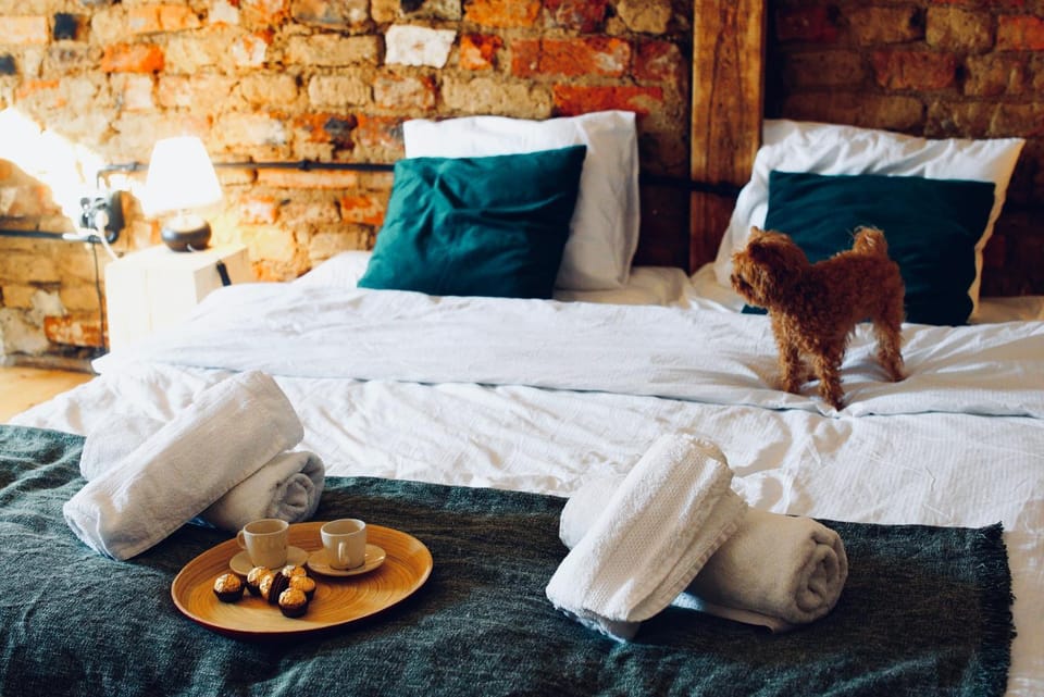 Bed, Bedroom, Pets, towels