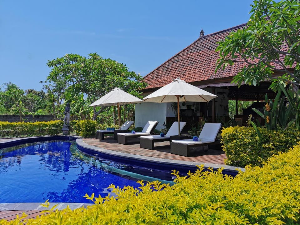 Garden, Garden view, Pool view, Swimming pool, sunbed