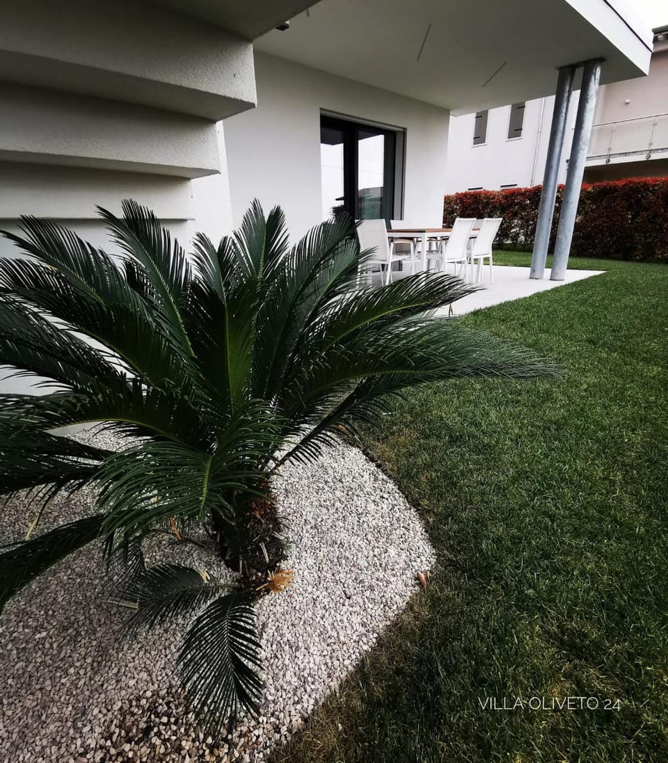 Property building, Patio, Garden