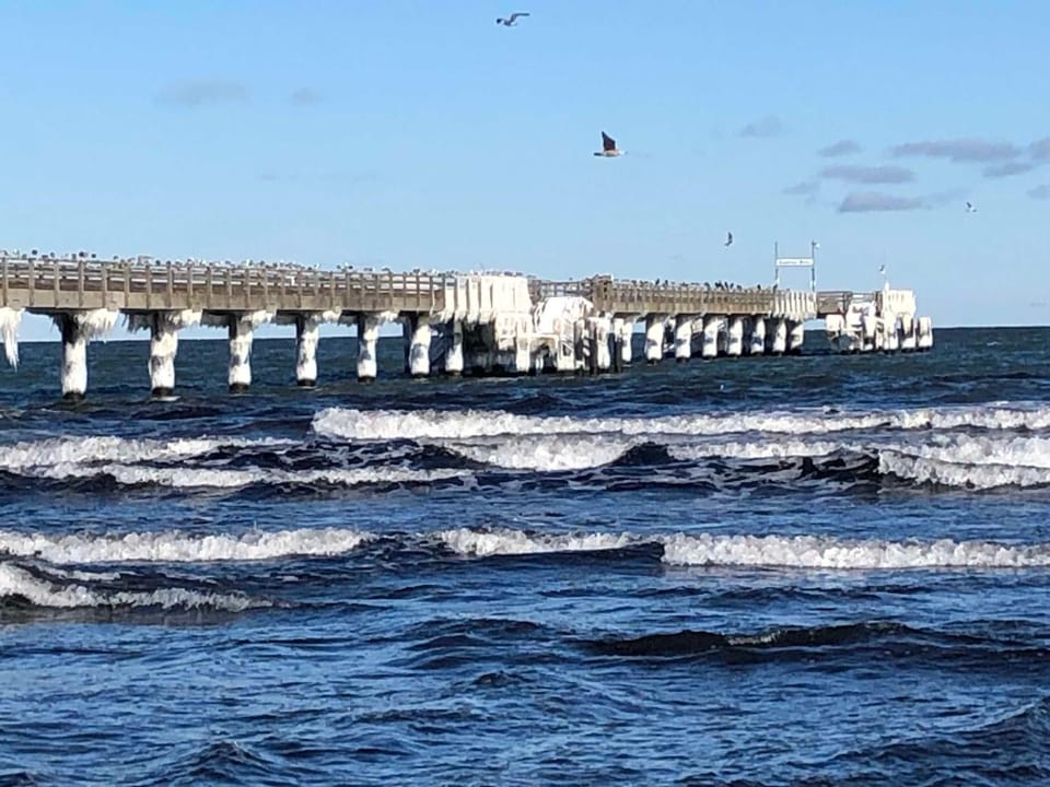 Haus ELISE Apartment in Binz