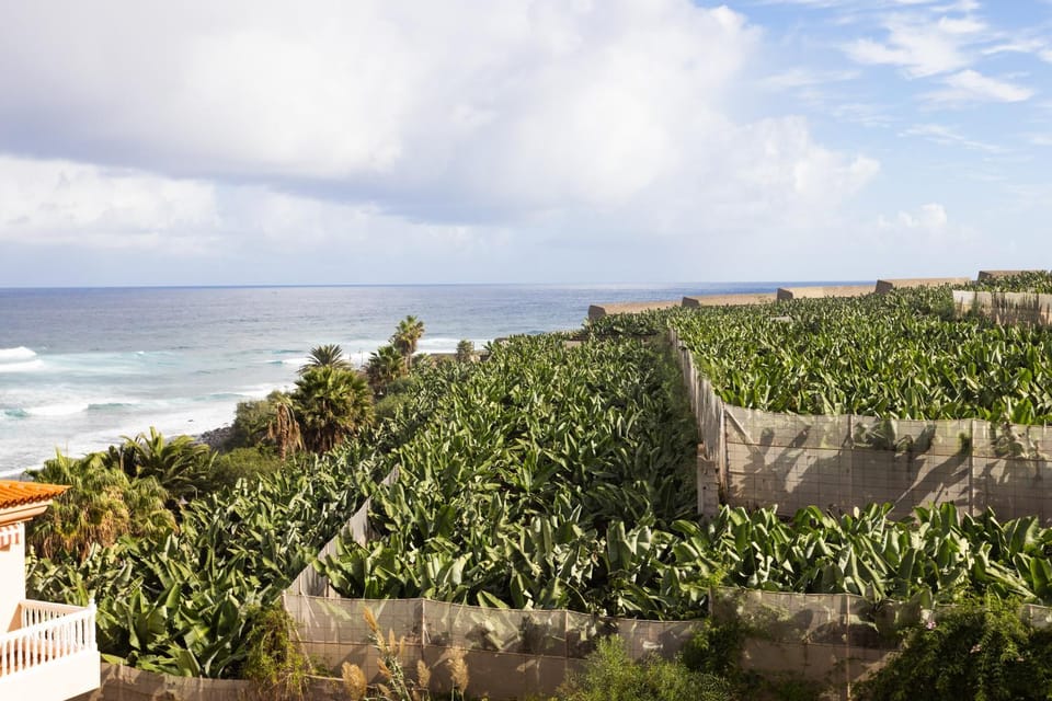 TenoHomes Casa Ela, Charming Stay Garachico Apartment in Canary Islands