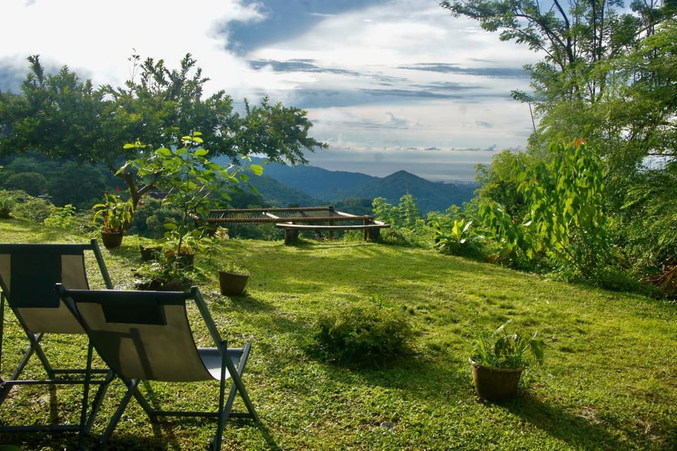 Garden, Sea view
