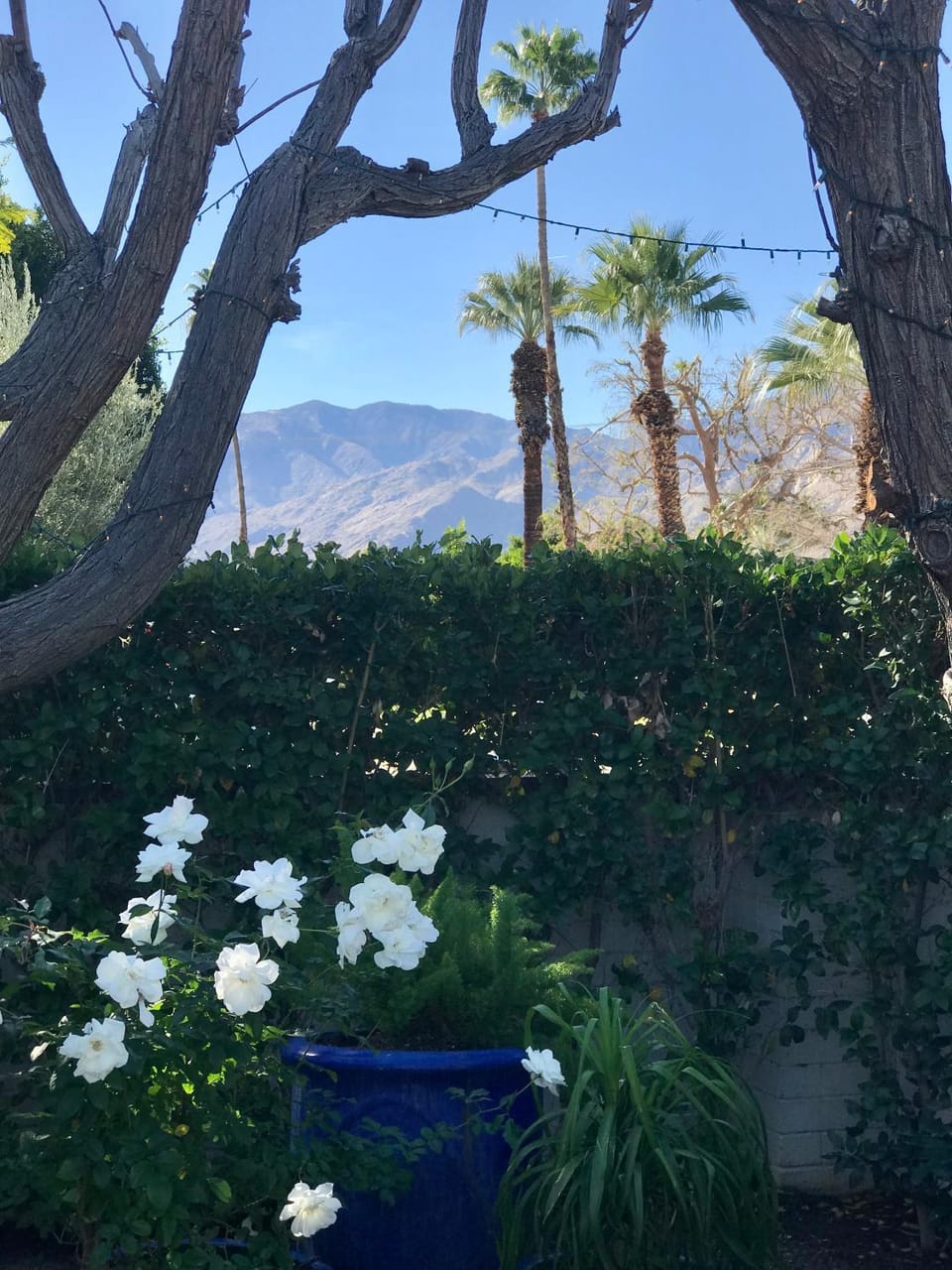 Casa De Vito House in Palm Springs