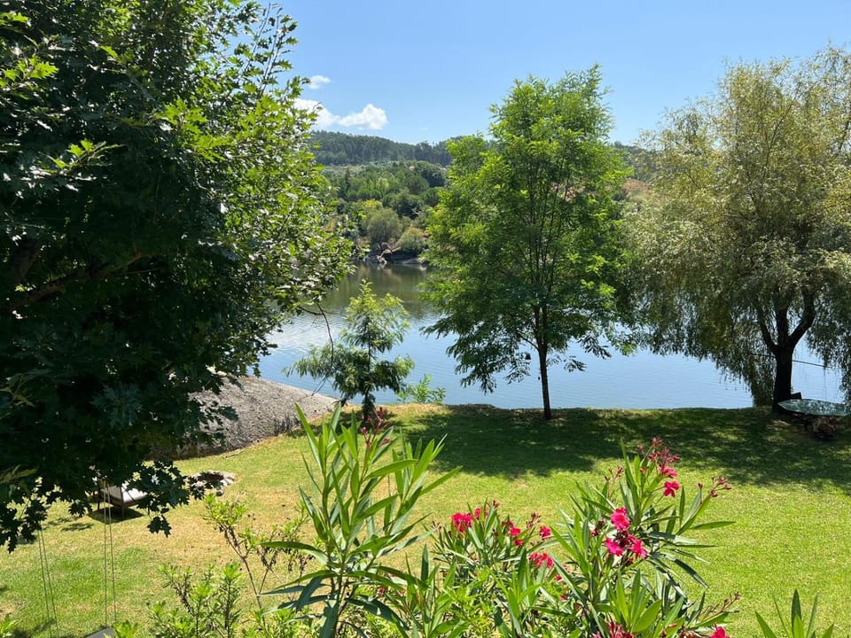 Natural landscape, Garden, Garden, River view