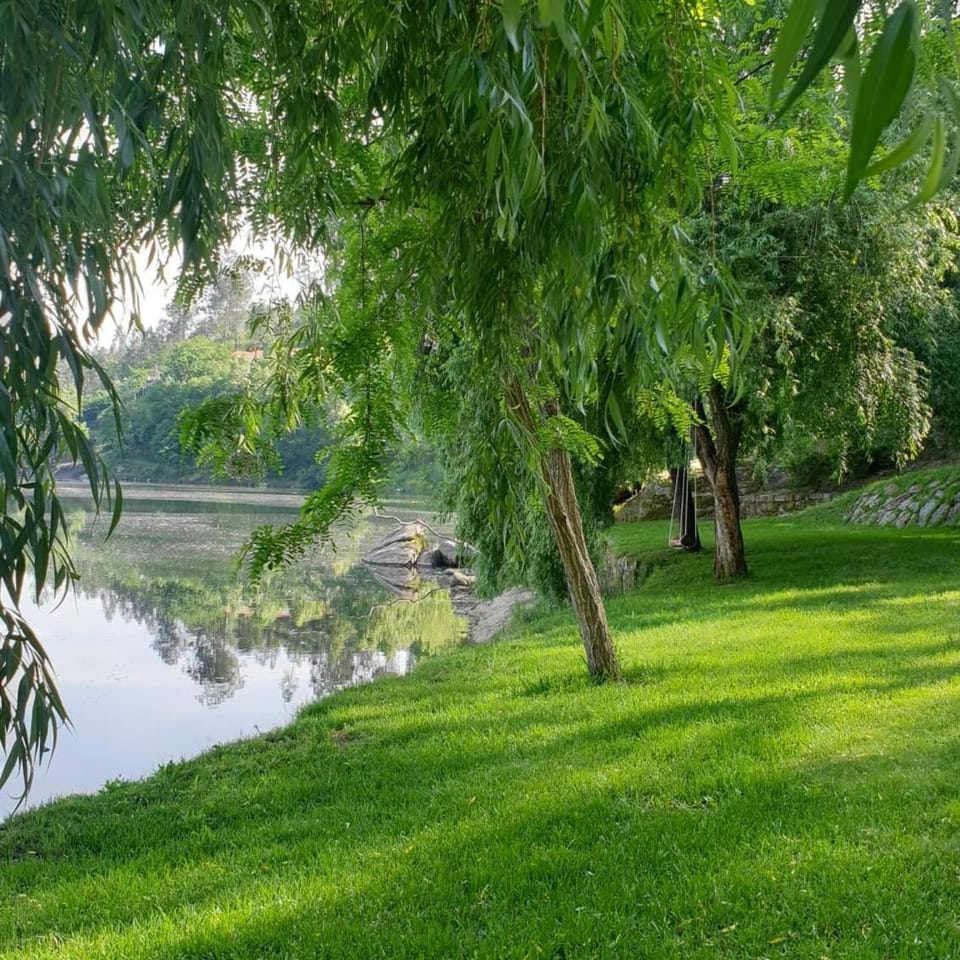 Spring, Natural landscape, Garden, Garden, Garden view, River view