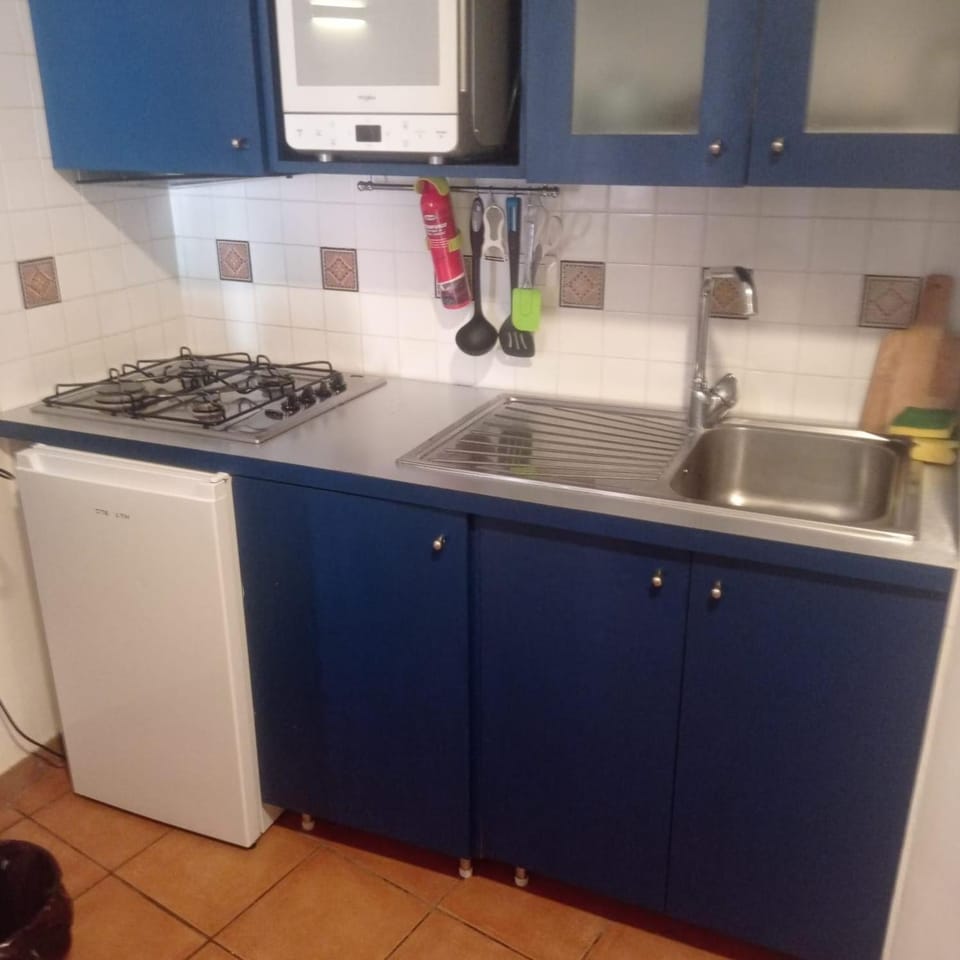 Kitchen or kitchenette, minibar, pet friendly, stove