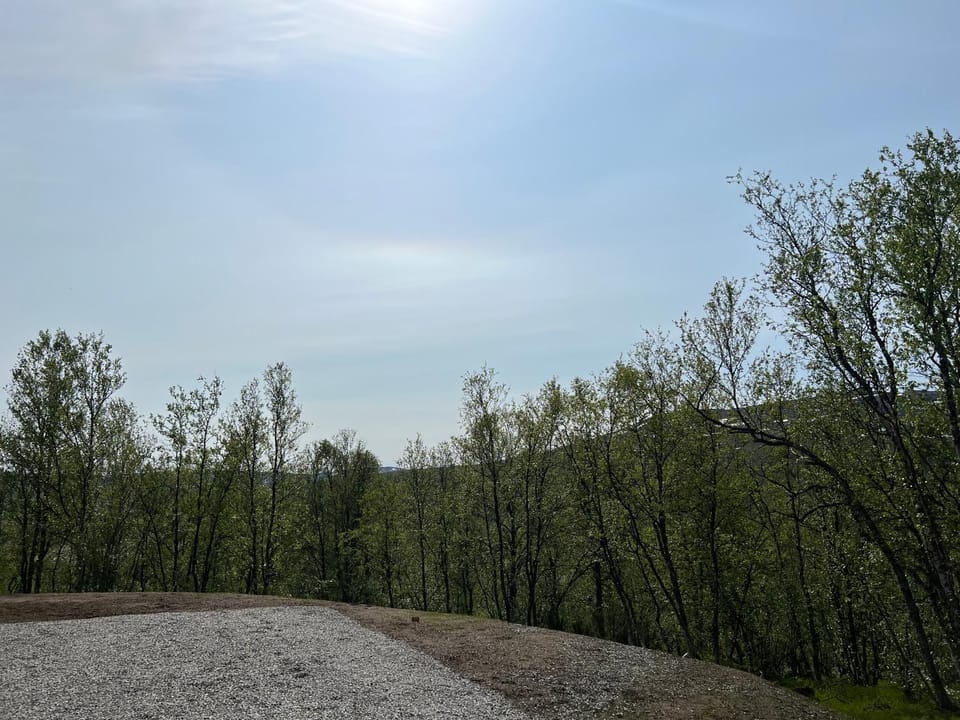 Spring, Day, Natural landscape