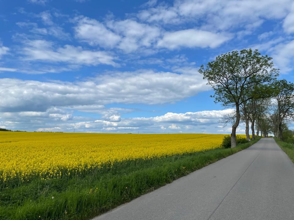 Natural landscape