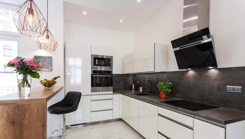 Luxury Apartment on Wenceslas Square Apartment in Prague