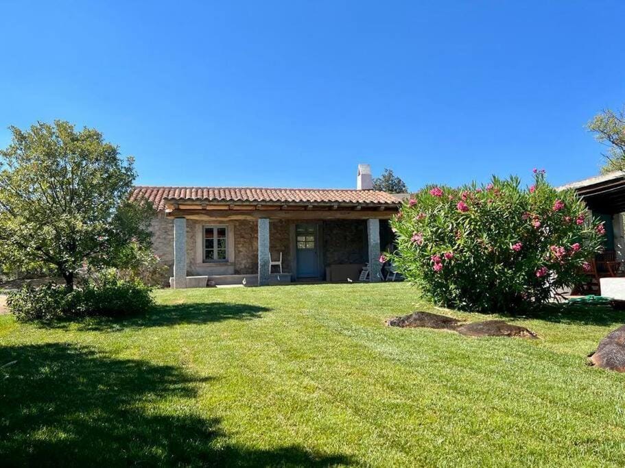 Property building, Garden