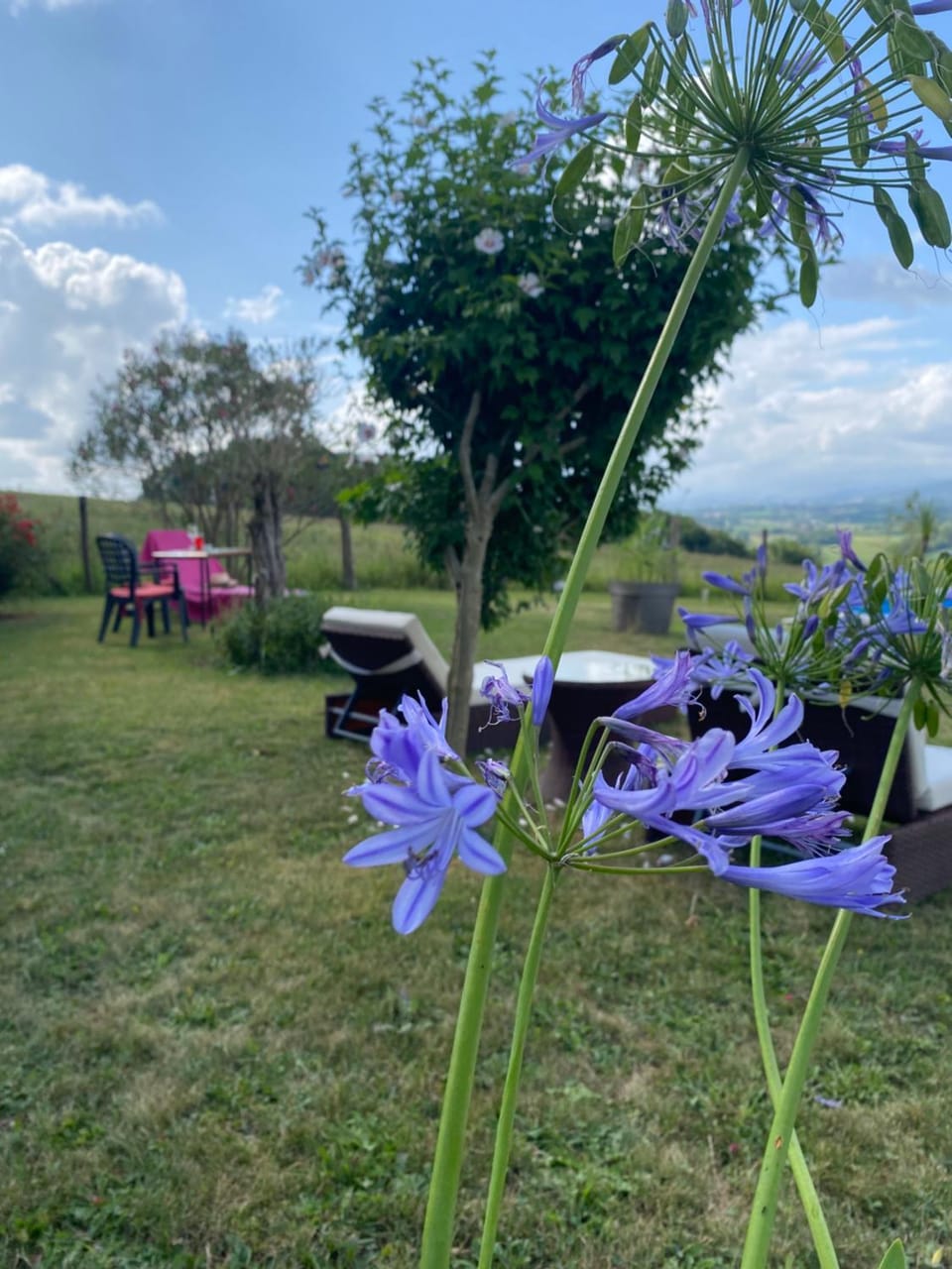 Garden view