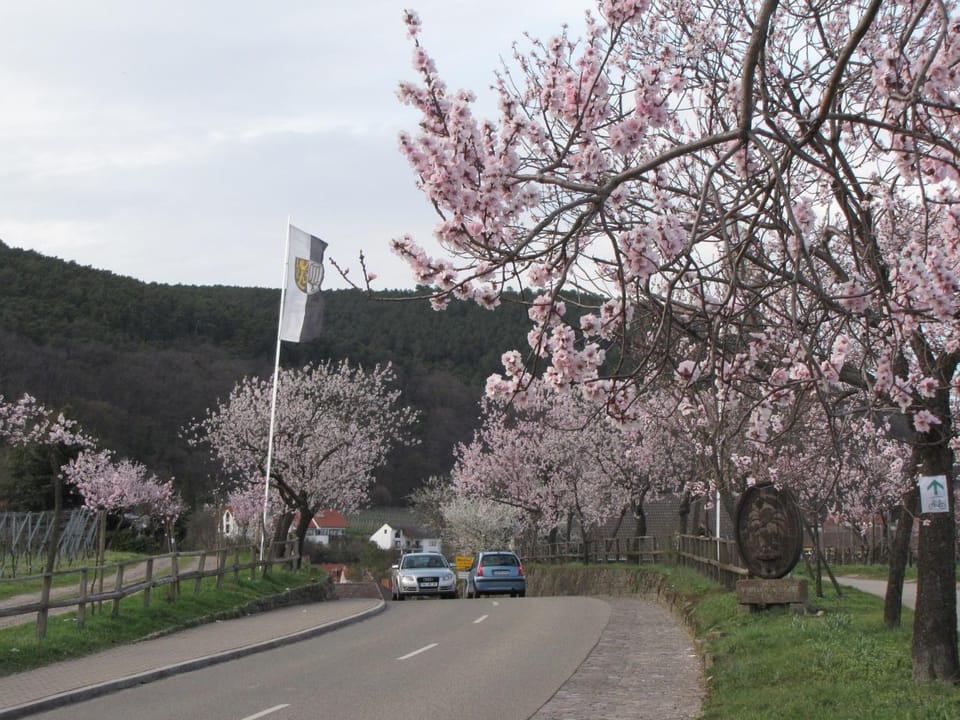 Spring, Neighbourhood, Natural landscape, Mountain view