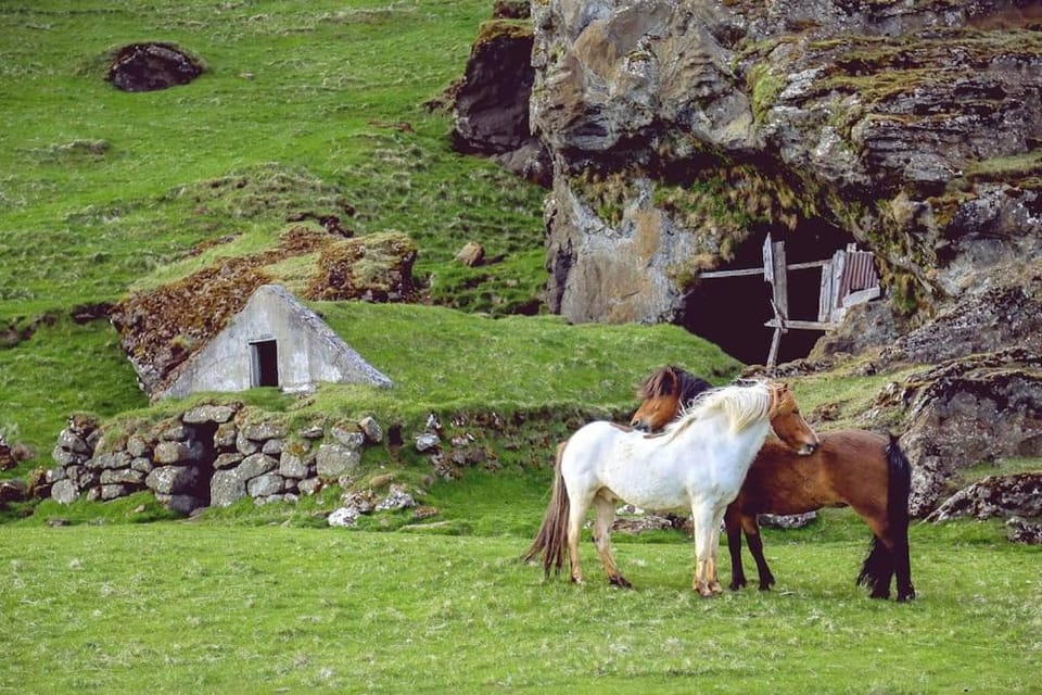 Nearby landmark, Natural landscape, Horse-riding, Animals