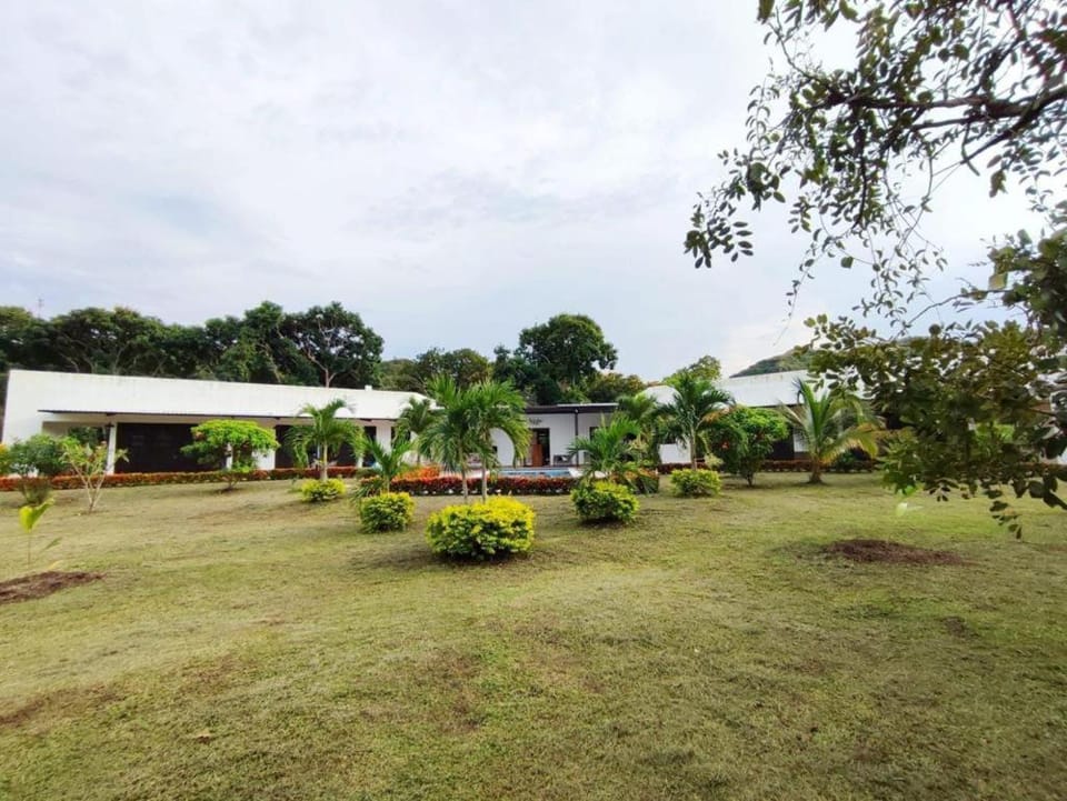 Property building, Spring, Day, Natural landscape, Garden, Garden view