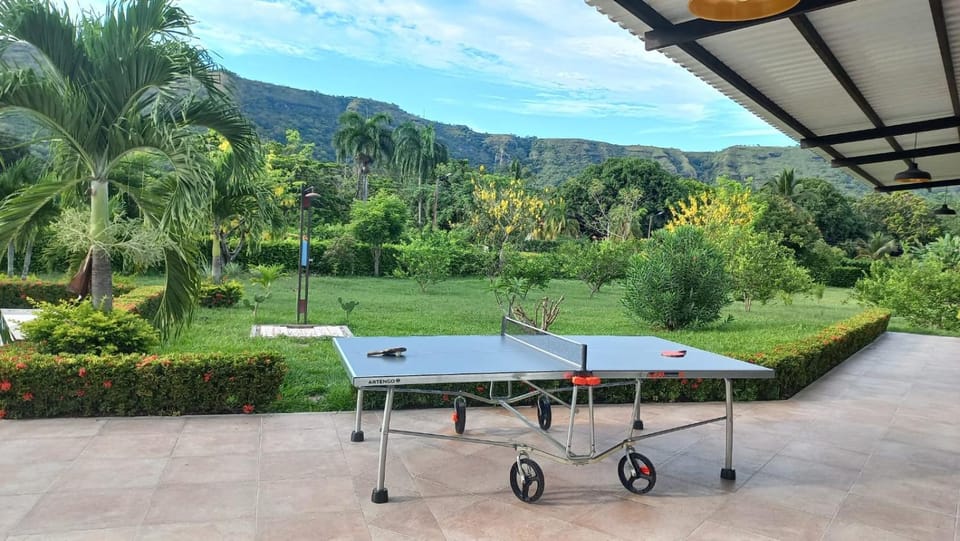 Table tennis