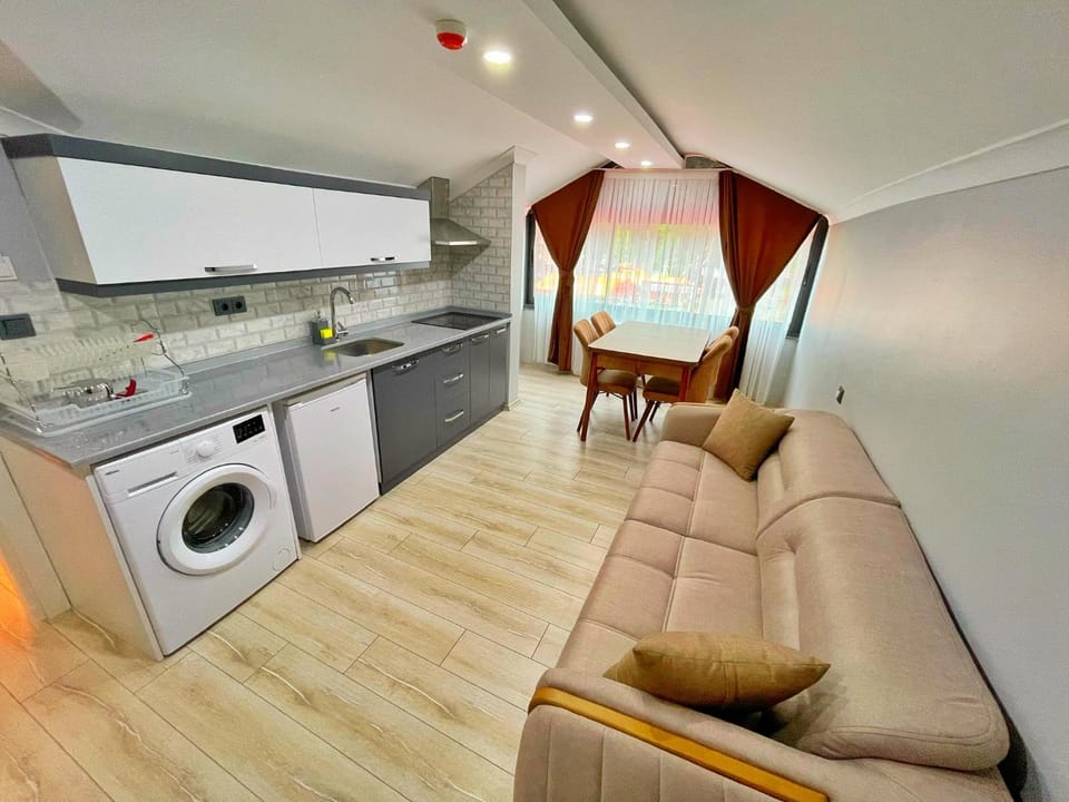 Seating area, minibar, oven, stove, washing machine