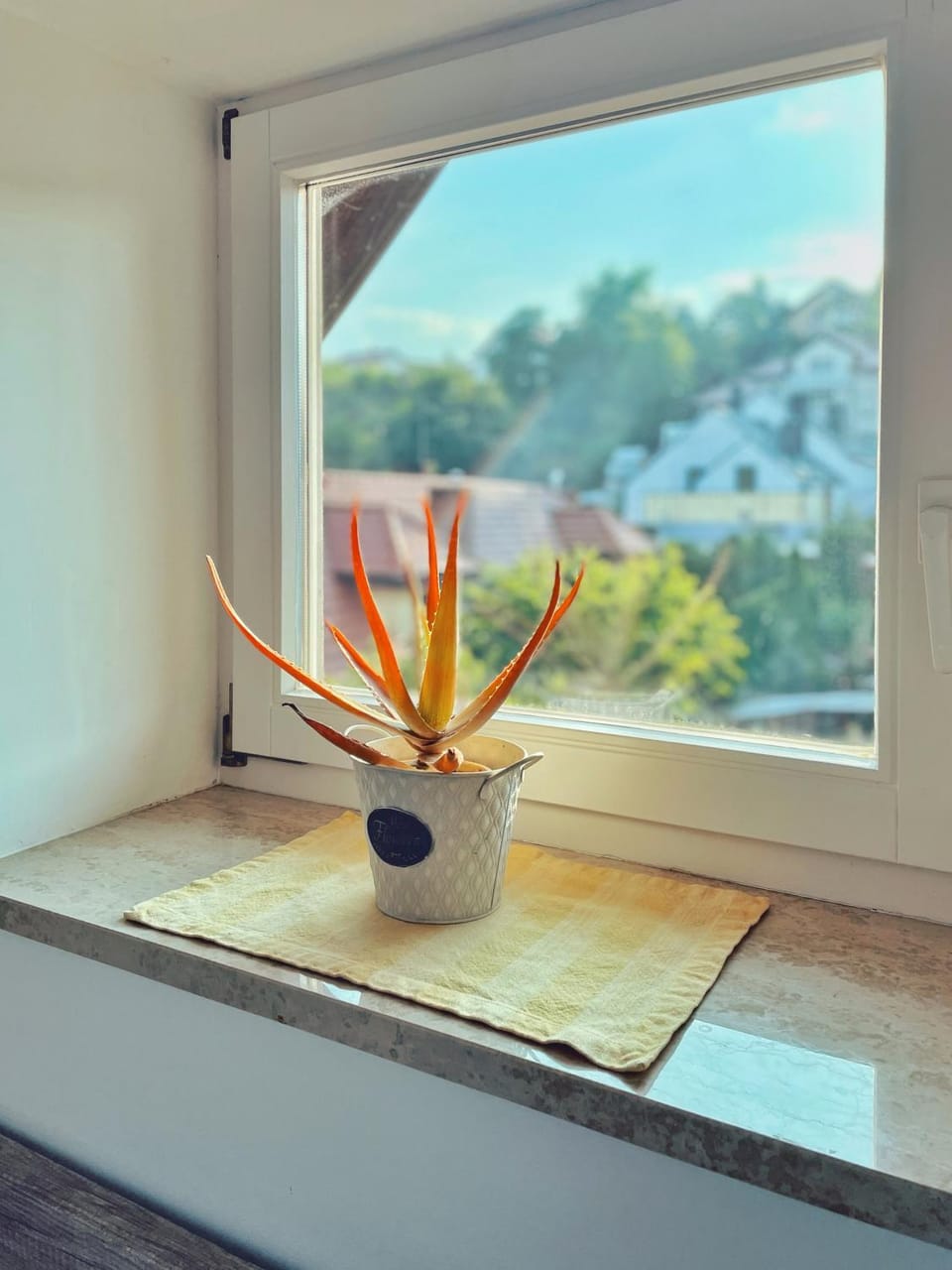 View (from property/room)