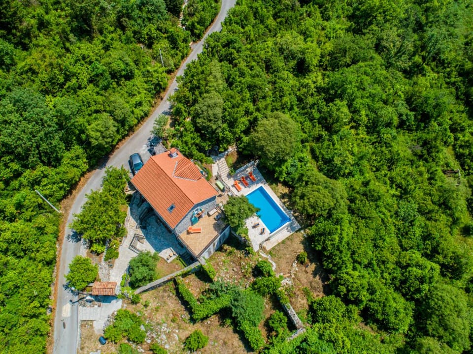 Neighbourhood, Natural landscape, Bird's eye view